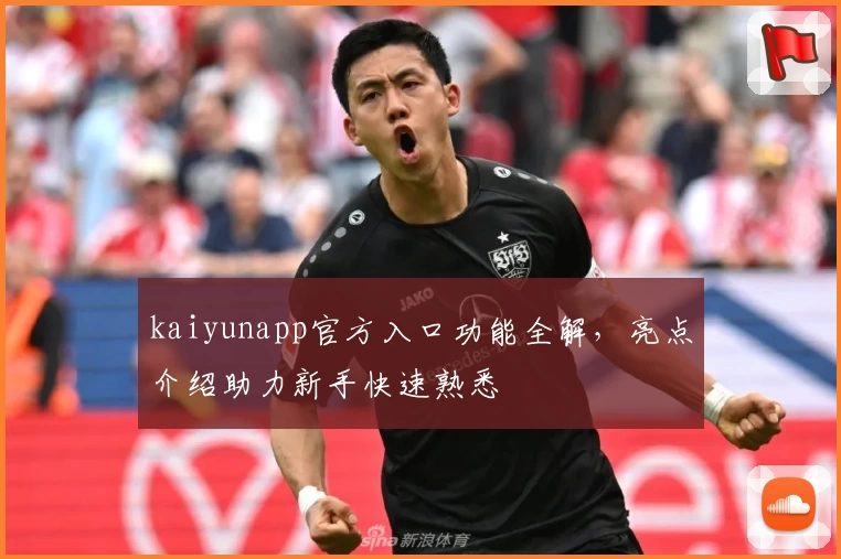 kaiyunapp官方入口功能全解，亮点介绍助力新手快速熟悉