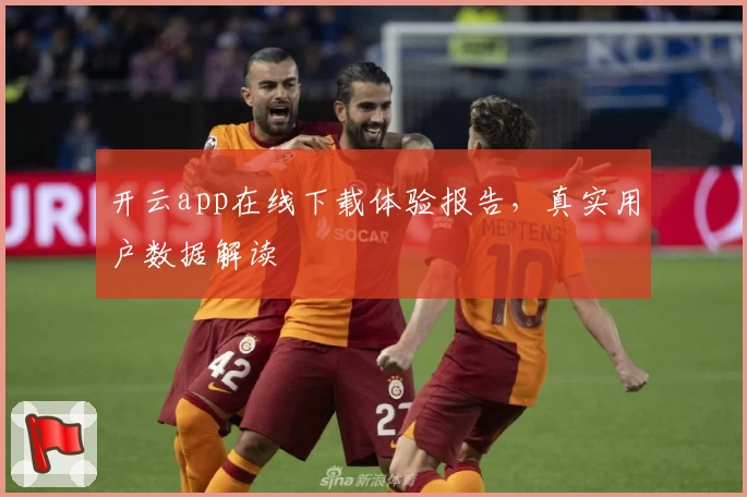 开云app在线下载体验报告，真实用户数据解读