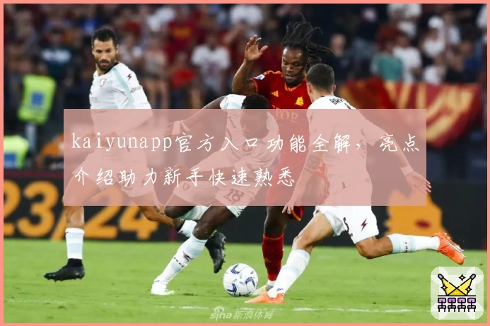 kaiyunapp官方入口功能全解，亮点介绍助力新手快速熟悉